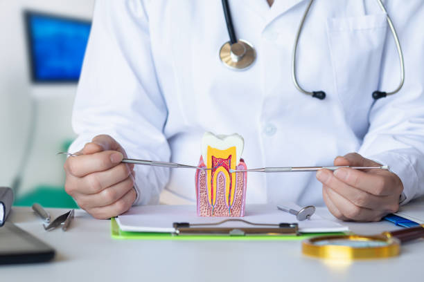 Best Dentist for Tooth Abscess  in Skidway Lake, MI